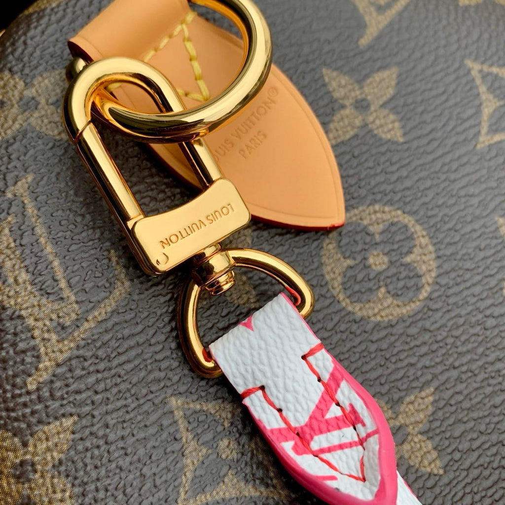 Louis Vuitton Speedy 30 Soft Bag Monogram LV M27512