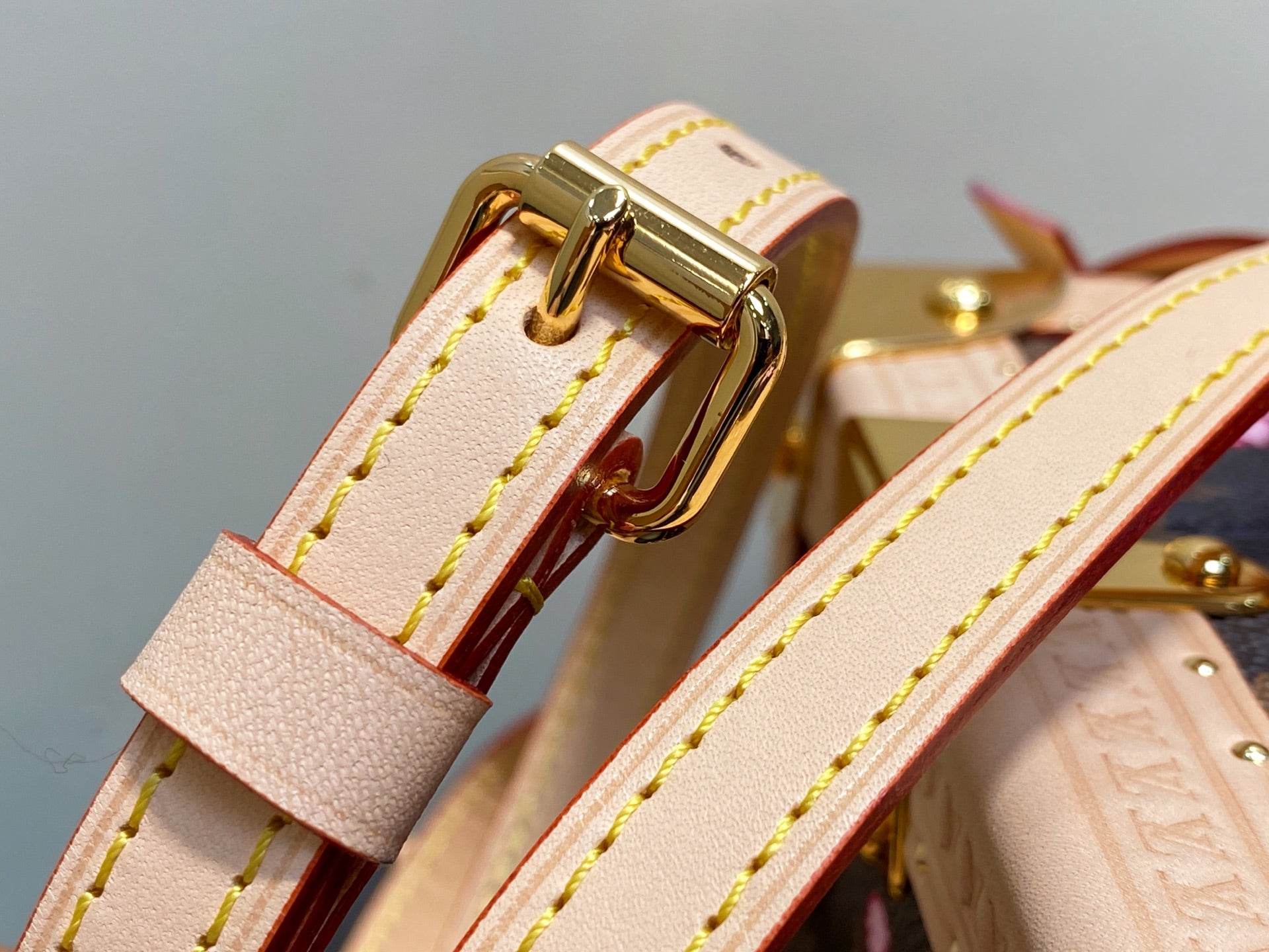 LV M10079 Louis Vuitton Camera Box Handbag Monogram Canvas Pink