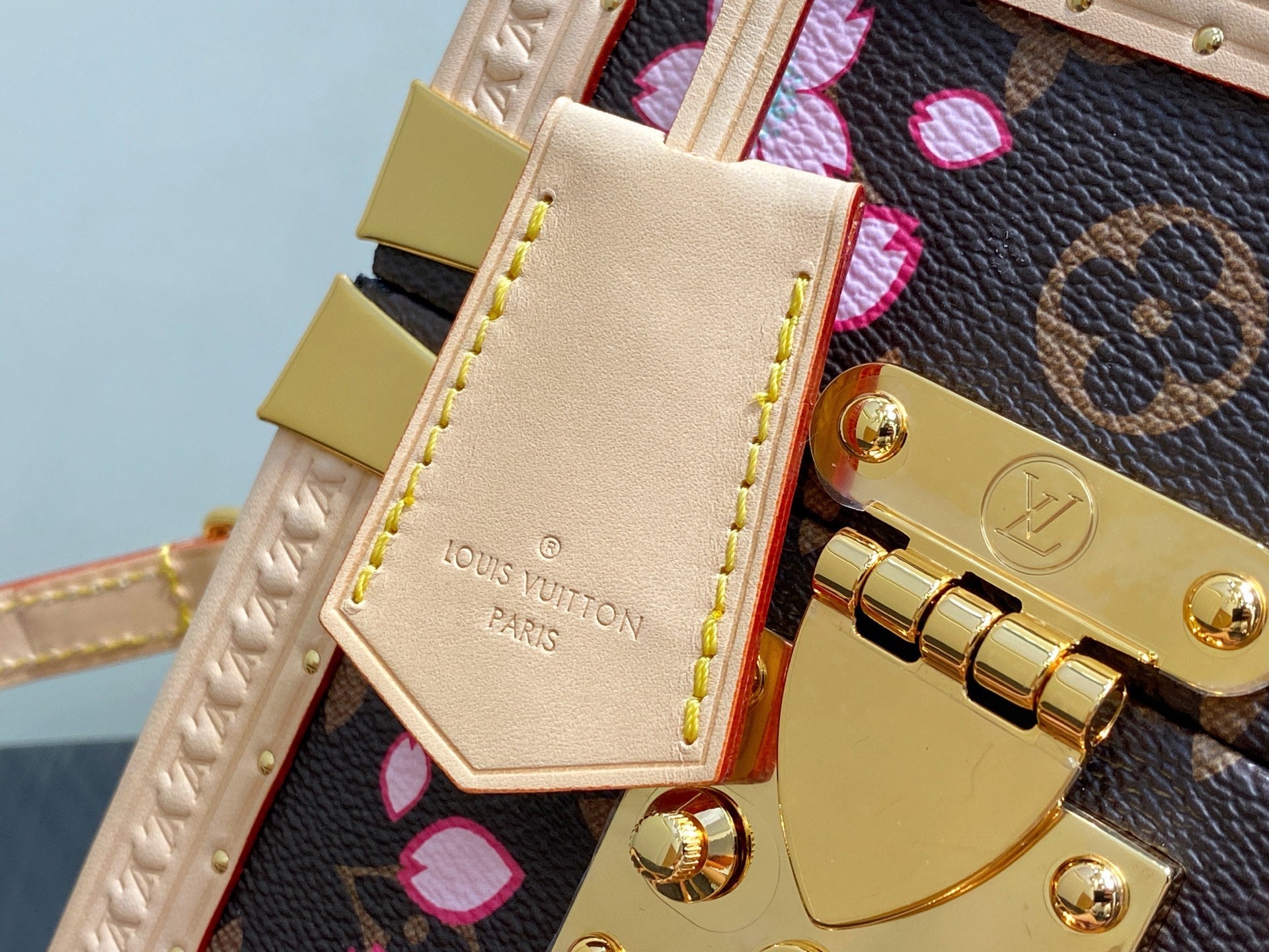 LV M10079 Louis Vuitton Camera Box Handbag Monogram Canvas Pink