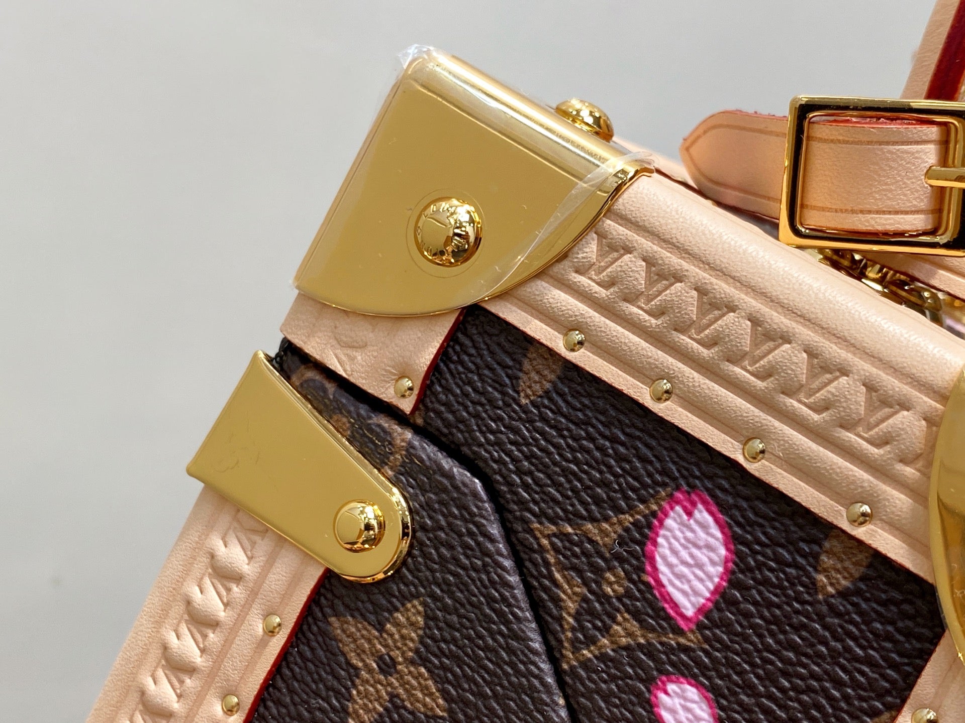 LV M10079 Louis Vuitton Camera Box Handbag Monogram Canvas Pink