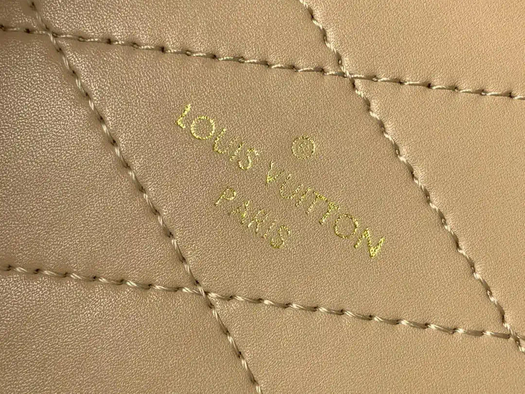 LV M10079 Louis Vuitton Camera Box Handbag Monogram Canvas
