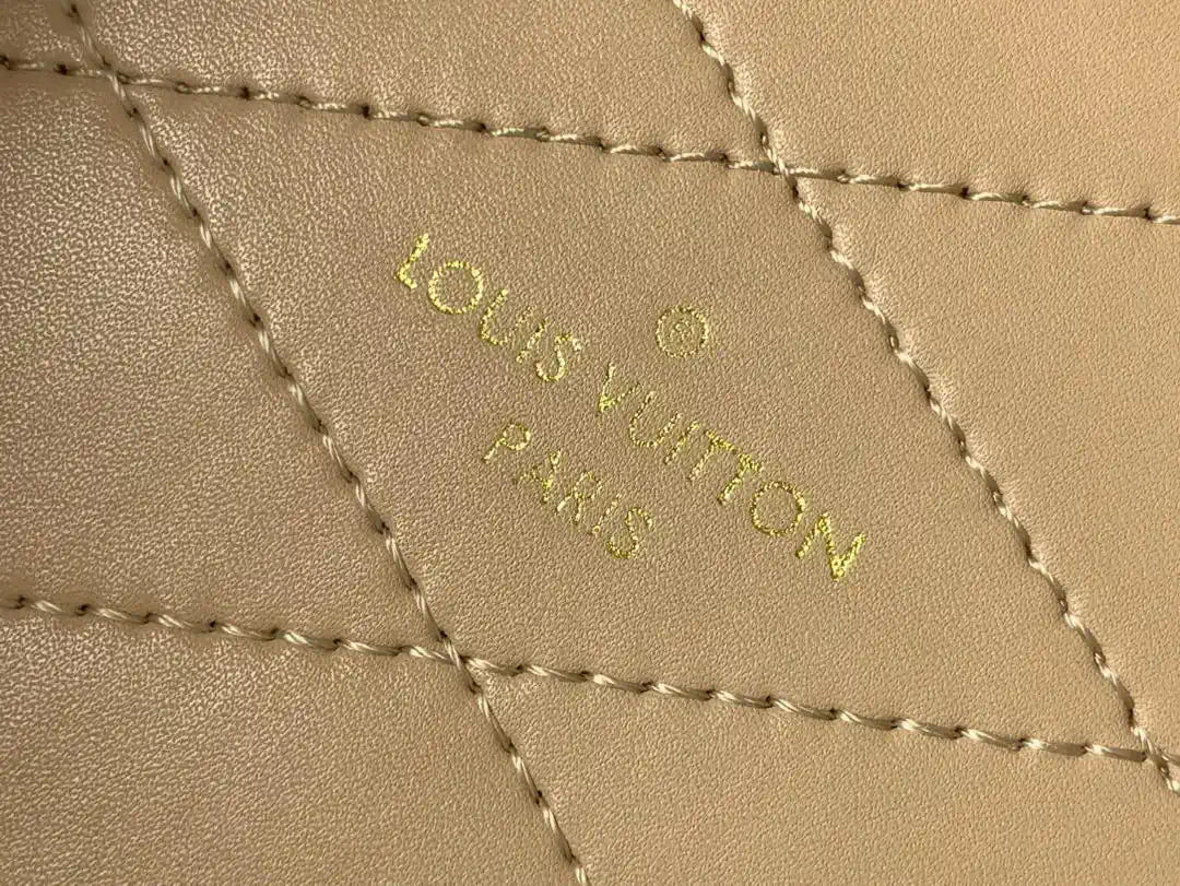LV M10079 Louis Vuitton Camera Box Handbag Monogram Canvas