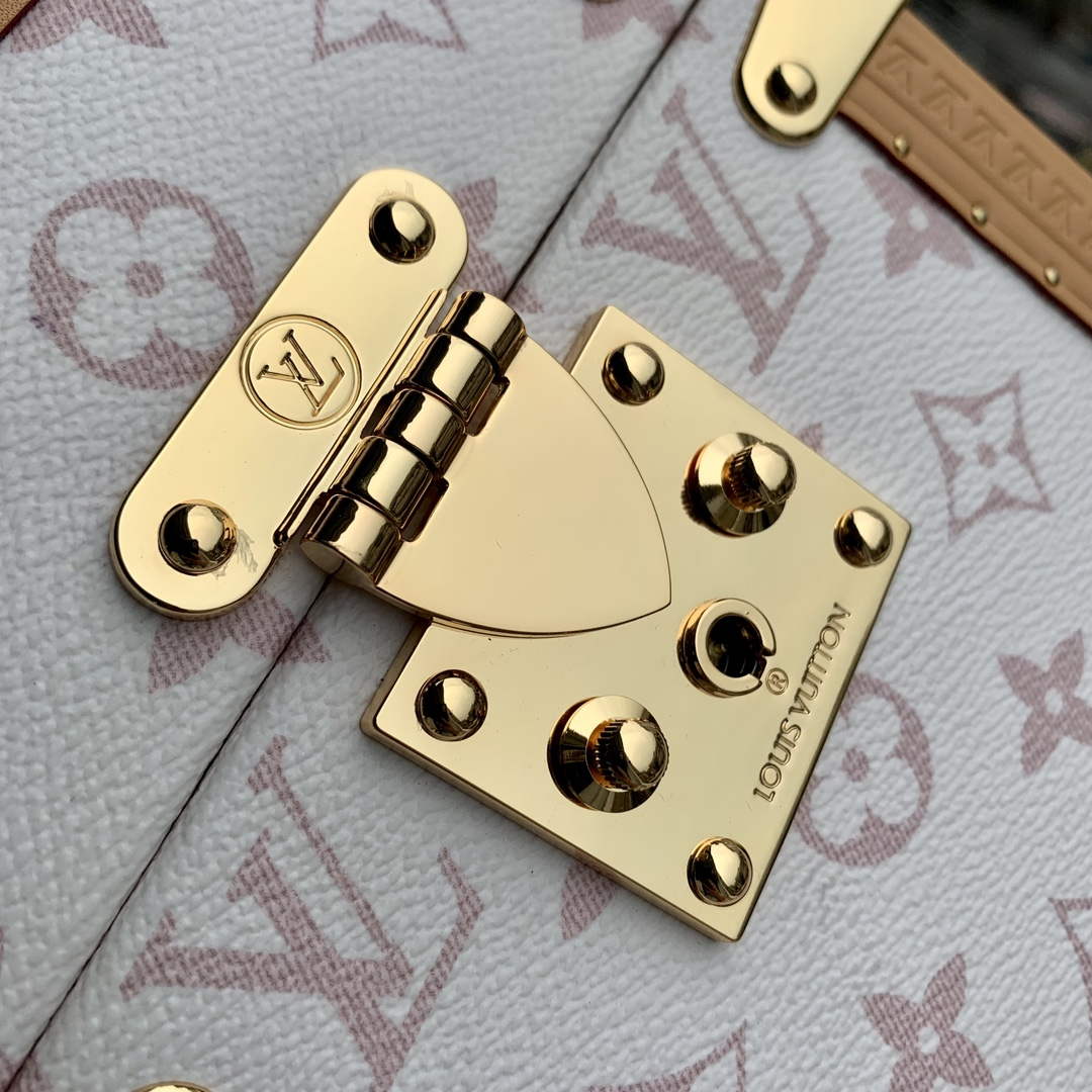 LV M10079 Louis Vuitton Camera Box Handbag White - Default Title - View 4