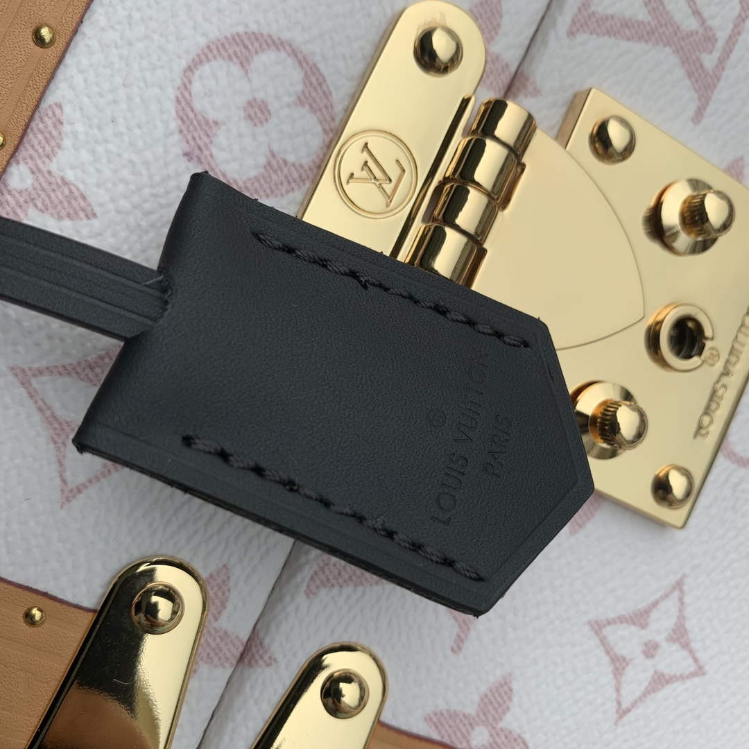 LV M10079 Louis Vuitton Camera Box Handbag White - Default Title - View 5
