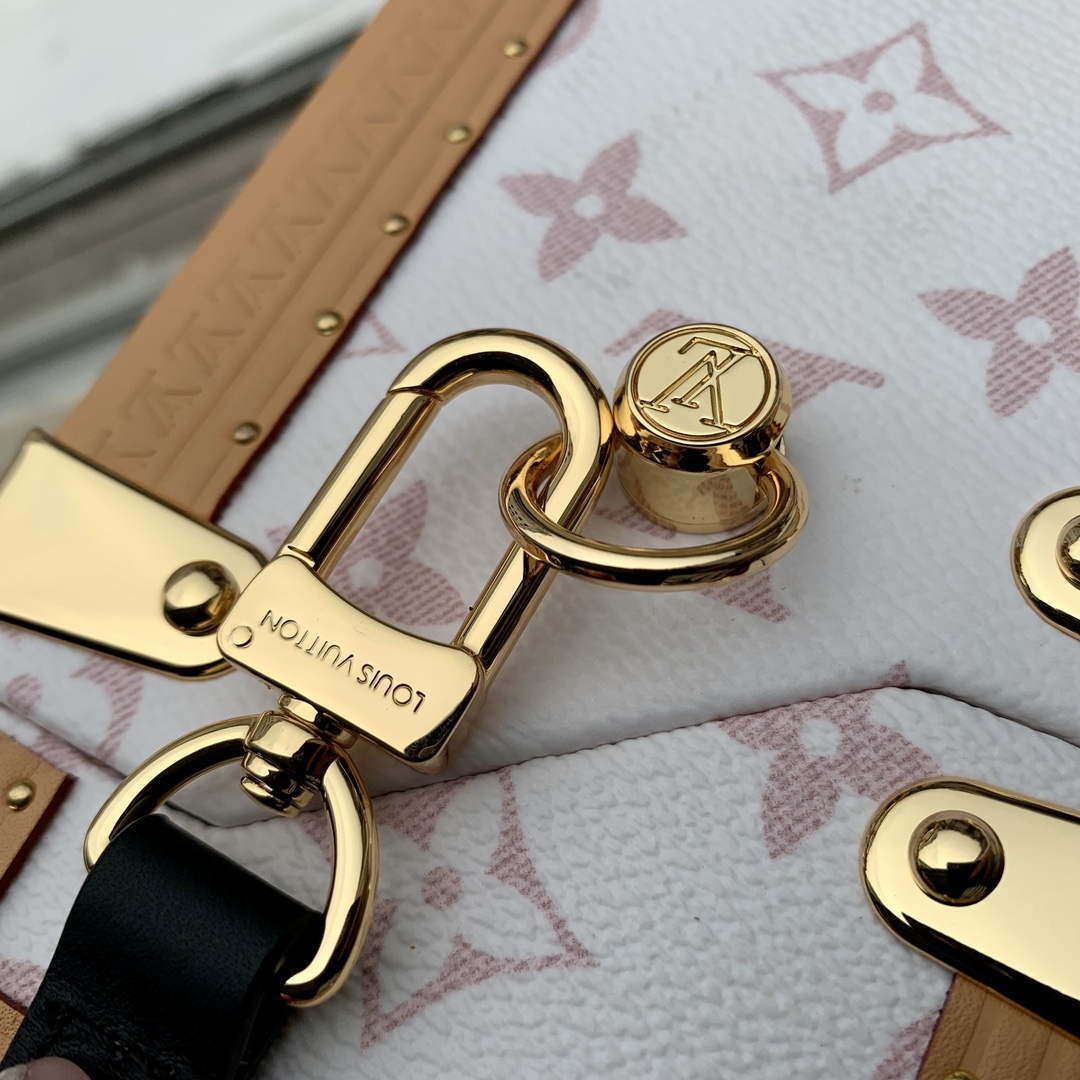 LV M10079 Louis Vuitton Camera Box Handbag White - Default Title - View 6