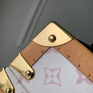 LV M10079 Louis Vuitton Camera Box Handbag White - Default Title - View 9