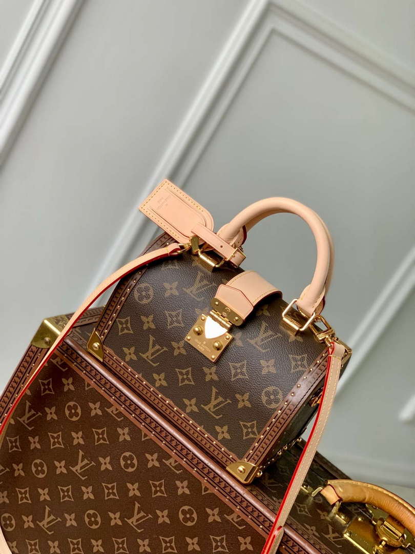 LV M11154 Louis Vuitton Speedy Trunk 20 Monogram Bag - Default Title - View 1