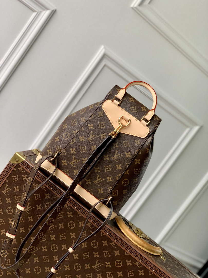 LV M11199 Louis Vuitton Montsouris Mini Backpack Monogram Coated canvas - Default Title - View 3