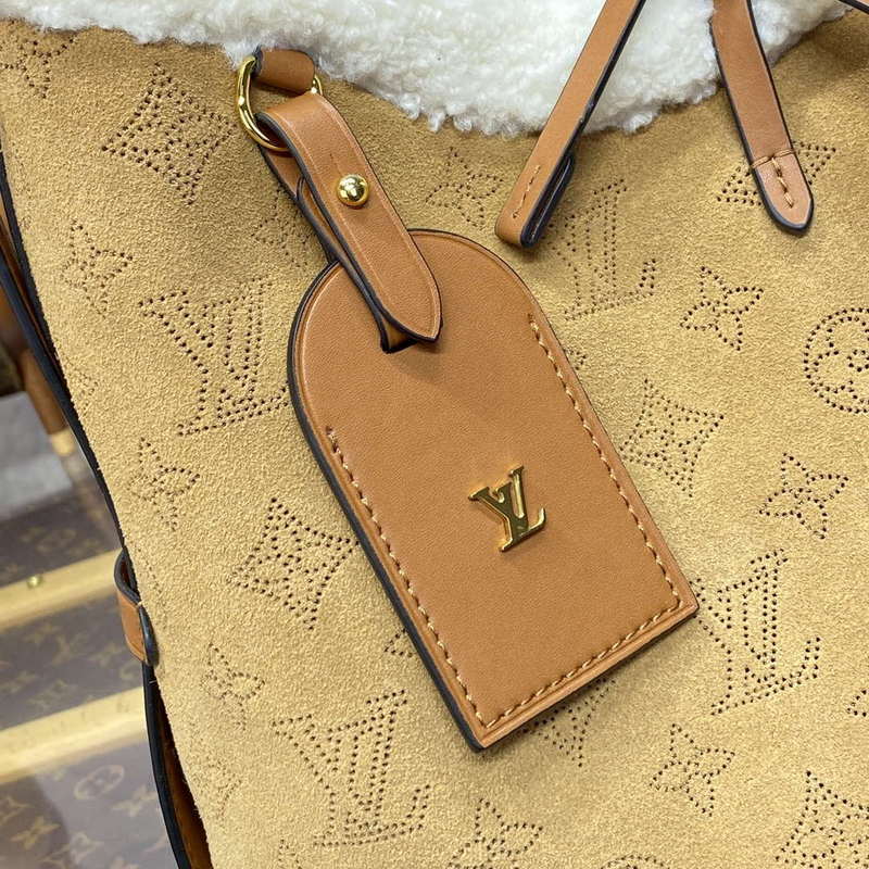 LV M11843 Louis Vuitton CarryAll PM Suede leather Bag Beige - Default Title - View 5