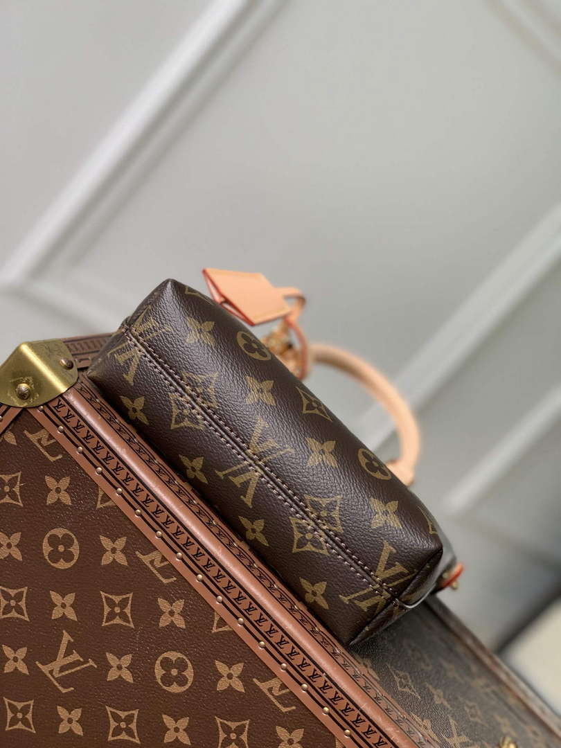 LV M12019 Louis Vuitton Lockit BB Knick-Knack Bag Brown - Default Title - View 4