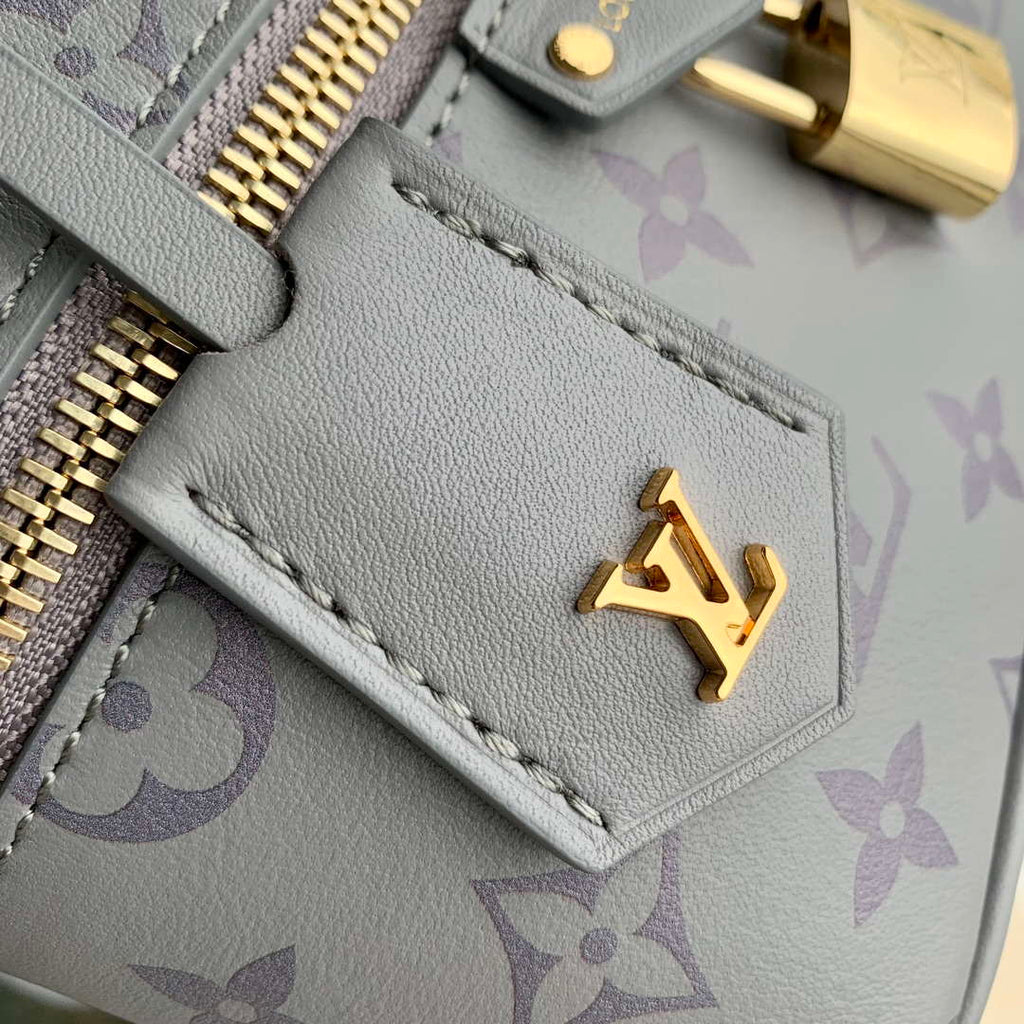 LV M12427 Louis Vuitton Vanity Chain Pouch Bag Trianon Gray