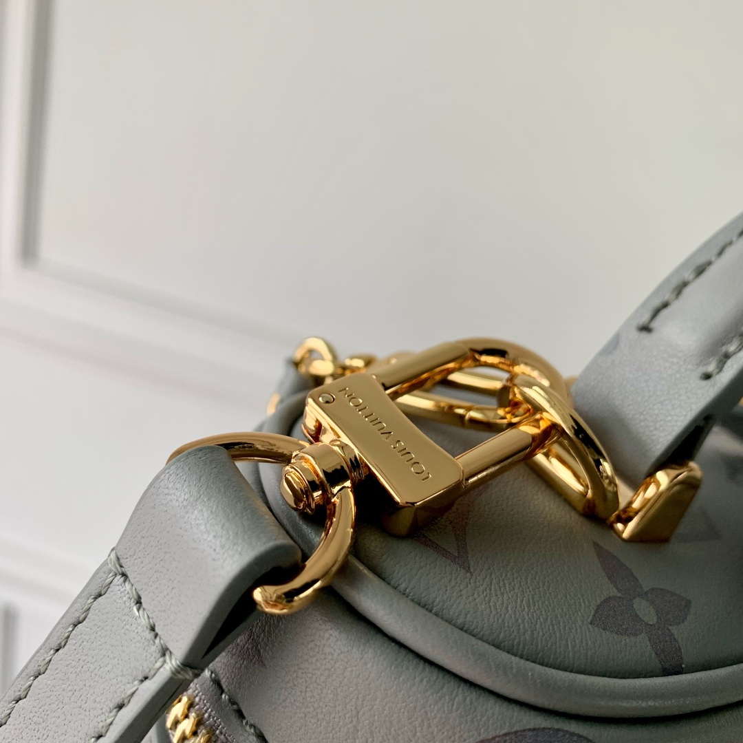 LV M12427 Louis Vuitton Vanity Chain Pouch Bag Trianon Gray - Default Title - View 6
