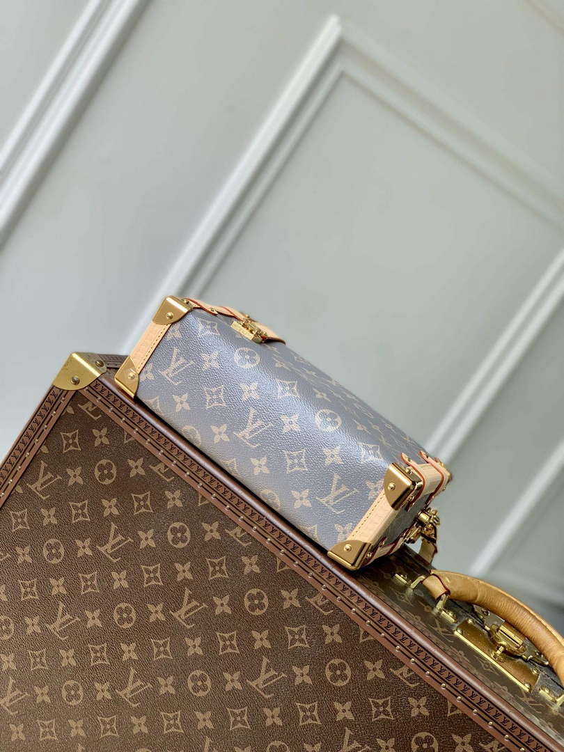 LV M12428 Louis Vuitton Side Trunk MM Bag Trianon Gray