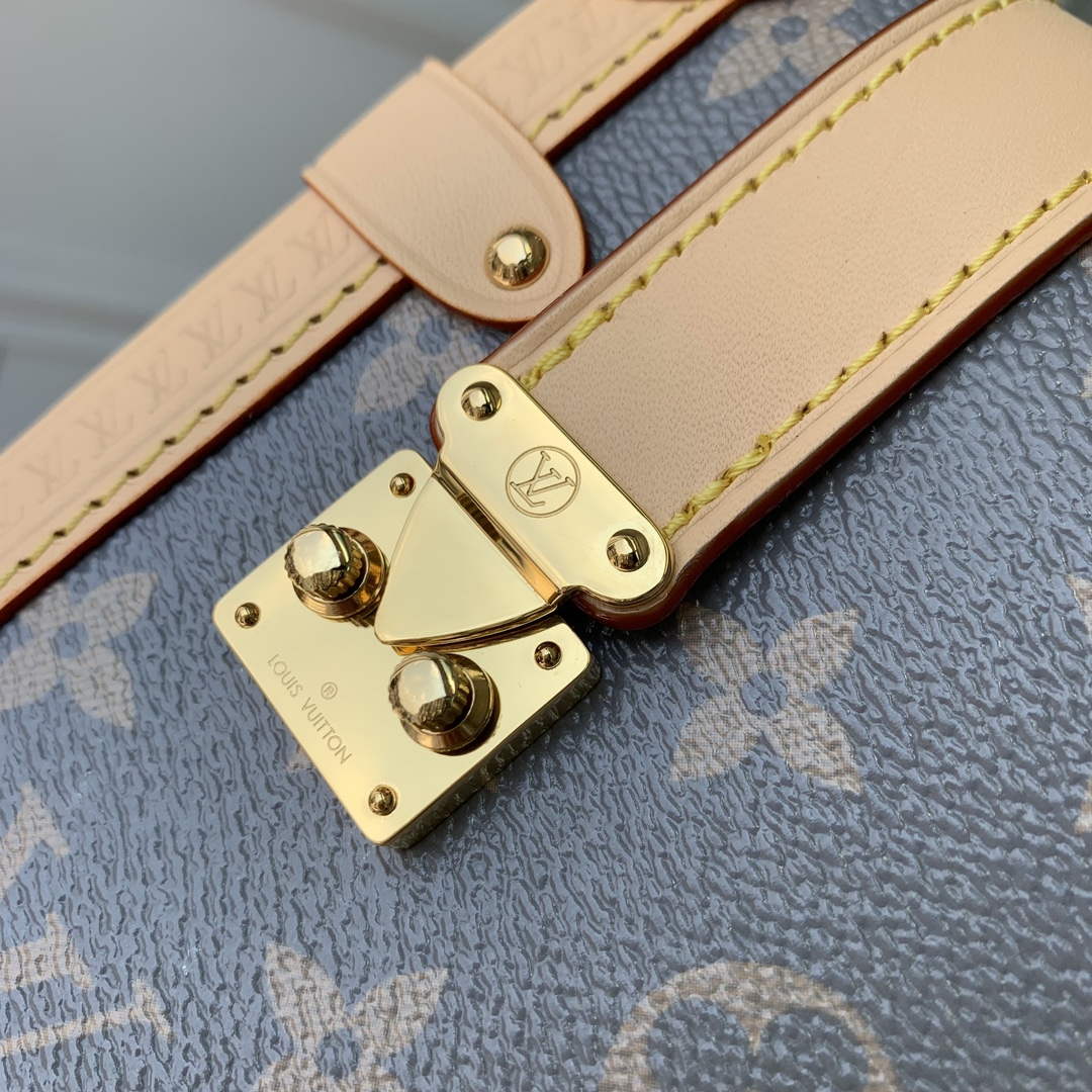 LV M12428 Louis Vuitton Side Trunk MM Bag Trianon Gray - Default Title - View 5