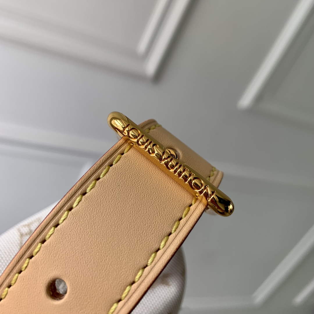 LV M12433 Louis Vuitton Hills Pochette Handbag Mastic