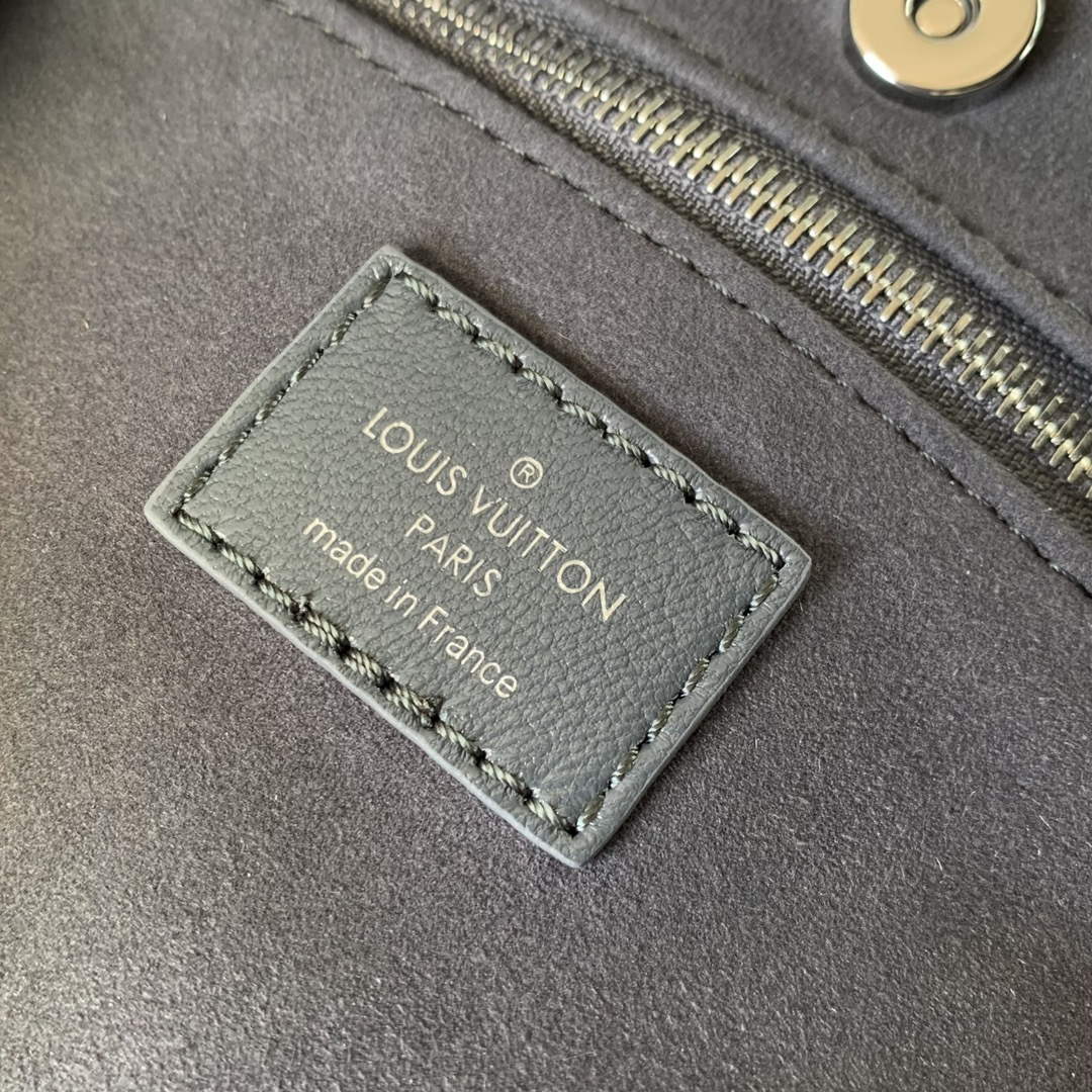 LV M12579 Louis Vuitton CarryAll Cargo PM Bag Trianon Gray - Default Title - View 8