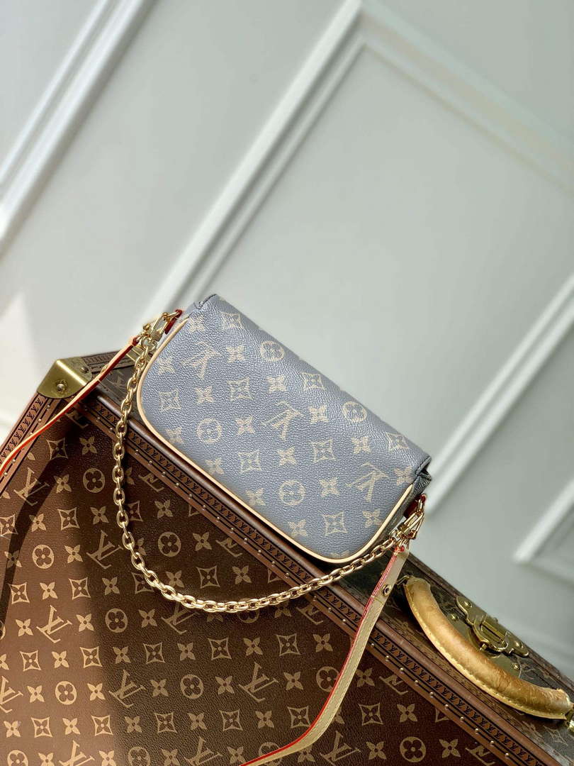 LV M12778 Louis Vuitton Wallet on Chain Ivy Bag Trianon Gray - Default Title - View 3