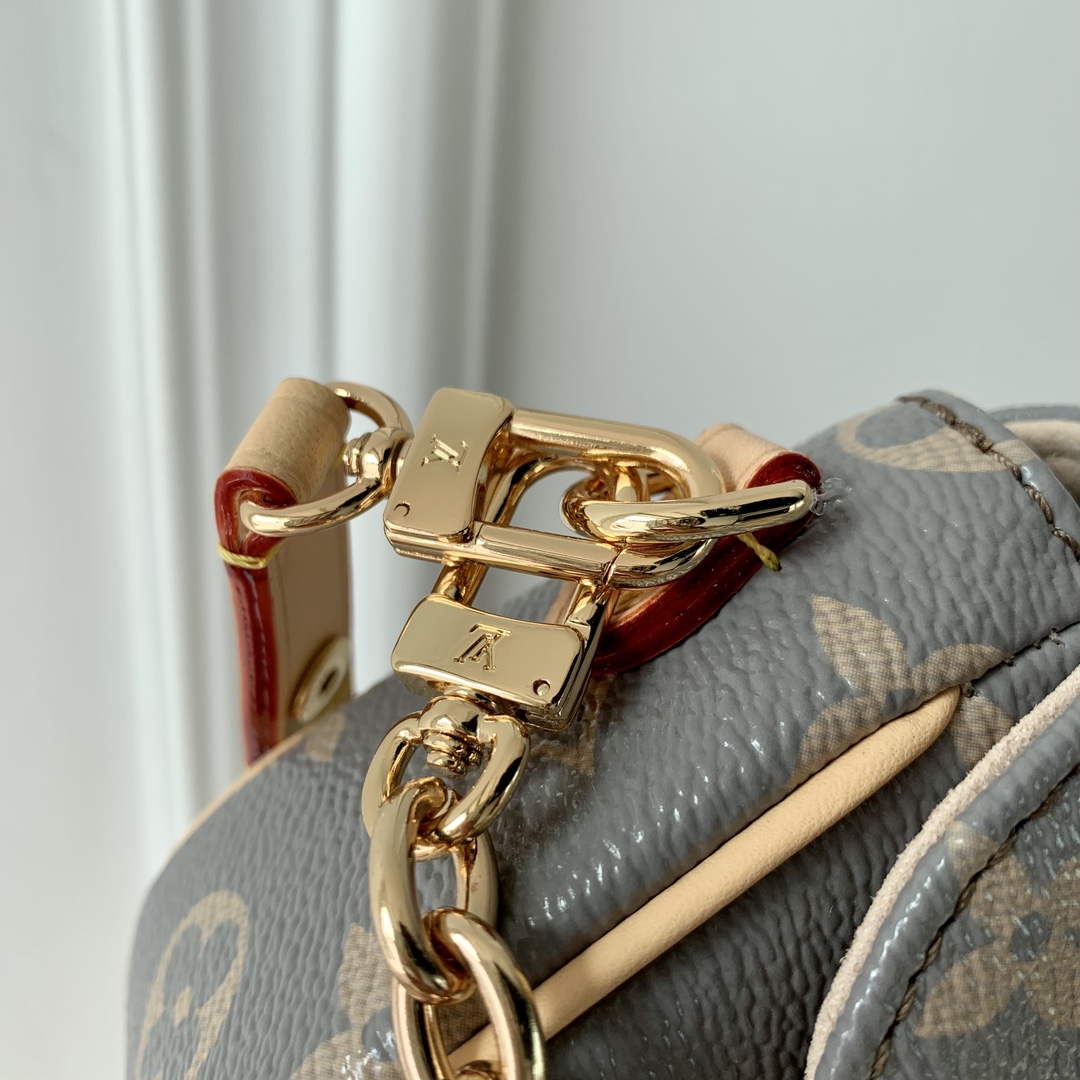 LV M12778 Louis Vuitton Wallet on Chain Ivy Bag Trianon Gray - Default Title - View 5