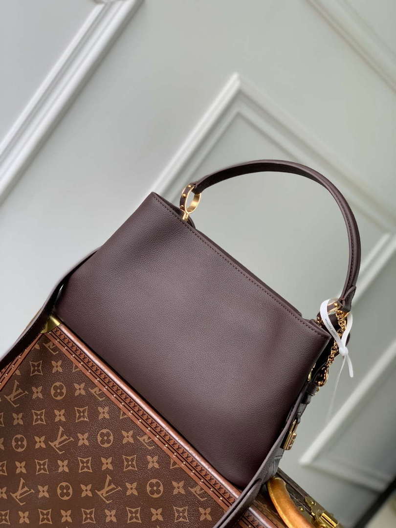 LV M12927 Louis Vuitton Capucines MM Souple Bag Chocolate Brown