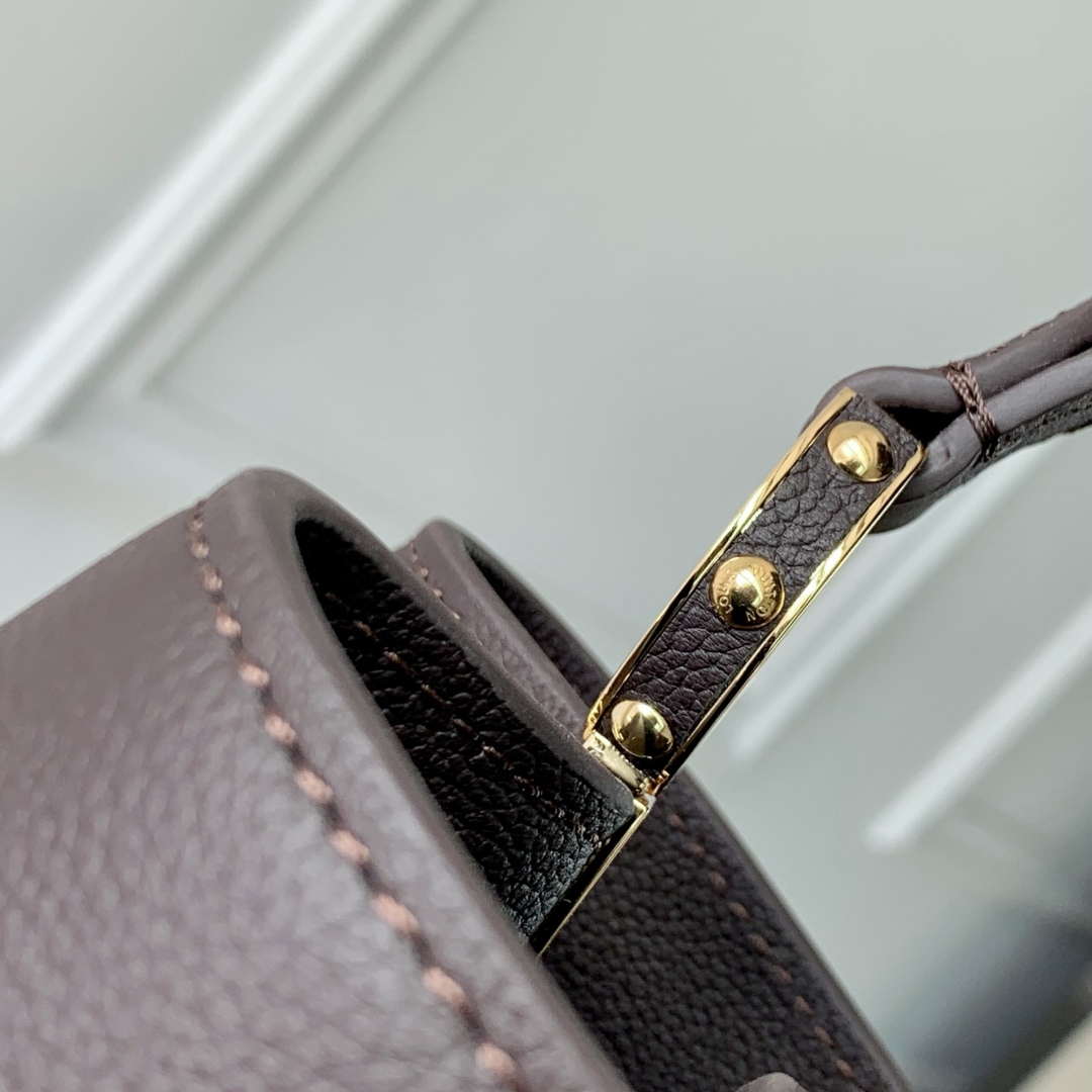 LV M12927 Louis Vuitton Capucines MM Souple Bag Chocolate Brown
