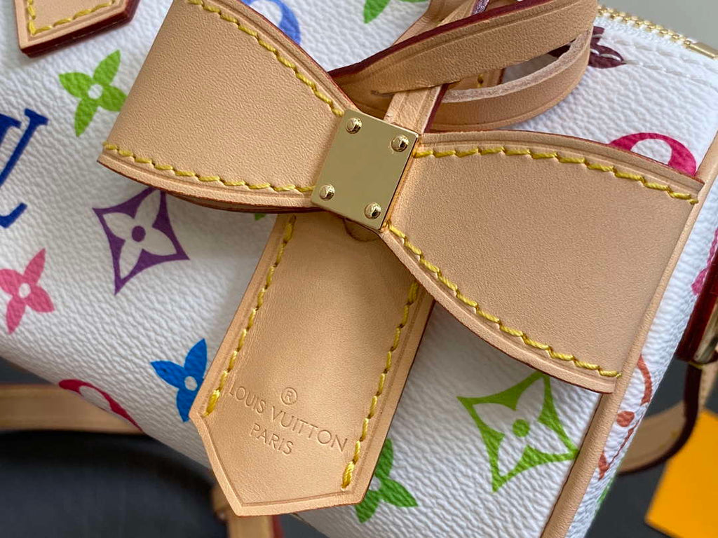 LV M13391 Louis Vuitton LV x TM Nano Speedy Bandouliere  Multicolored