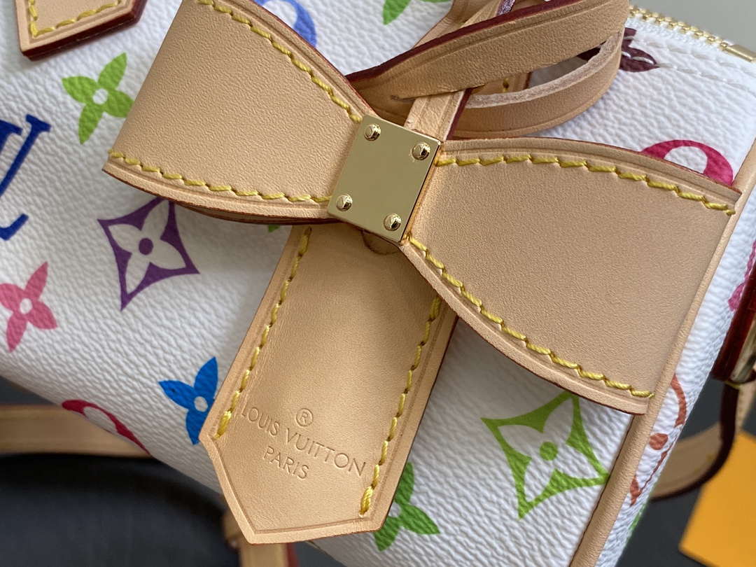 LV M13391 Louis Vuitton LV x TM Nano Speedy Bandouliere  Multicolored