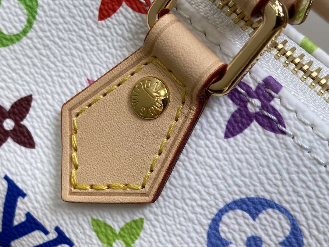 LV M13391 Louis Vuitton LV x TM Nano Speedy Bandouliere  Multicolored