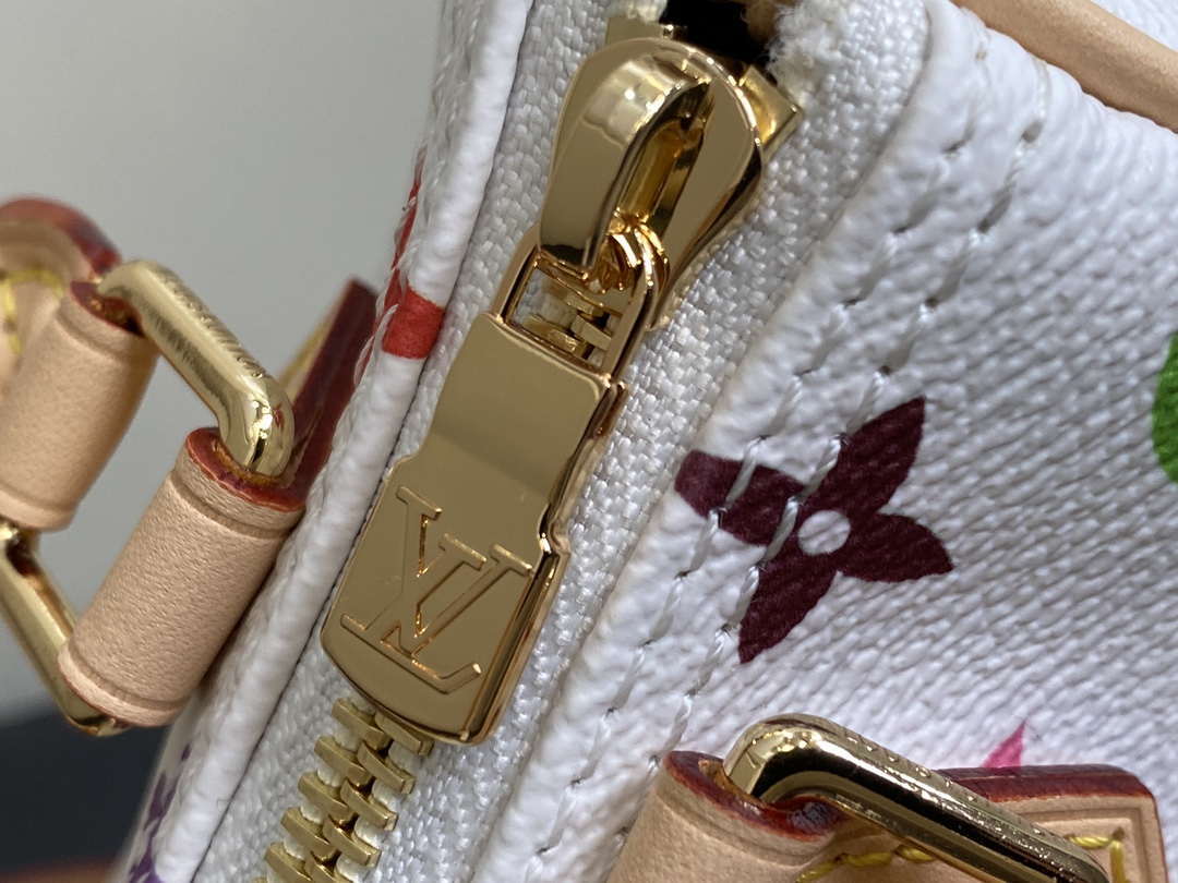 LV M13391 Louis Vuitton LV x TM Nano Speedy Bandouliere  Multicolored