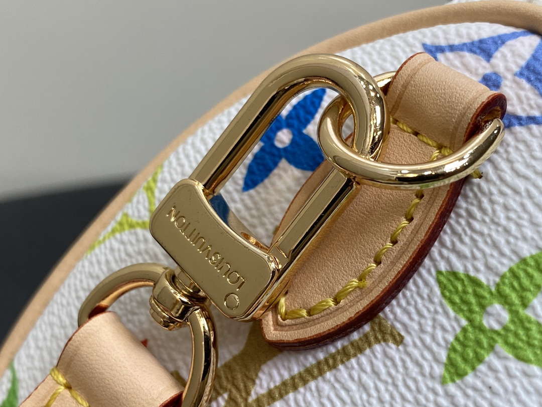 LV M13391 Louis Vuitton LV x TM Nano Speedy Bandouliere  Multicolored