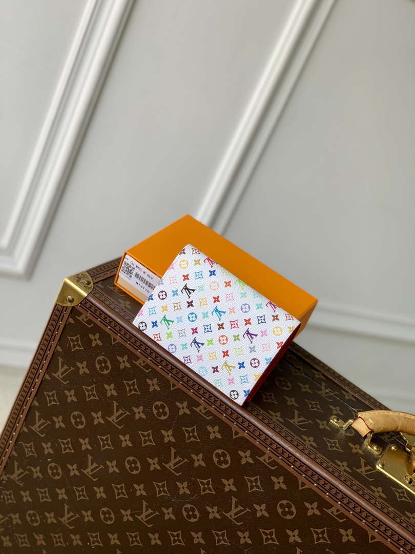 LV M13414 Louis Vuitton LV x TM Passport Cover Multicolored