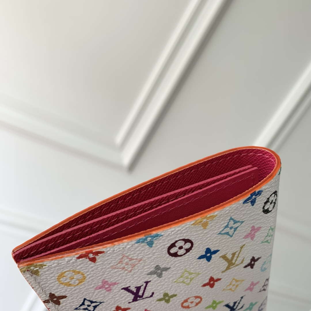 LV M13414 Louis Vuitton LV x TM Passport Cover Multicolored