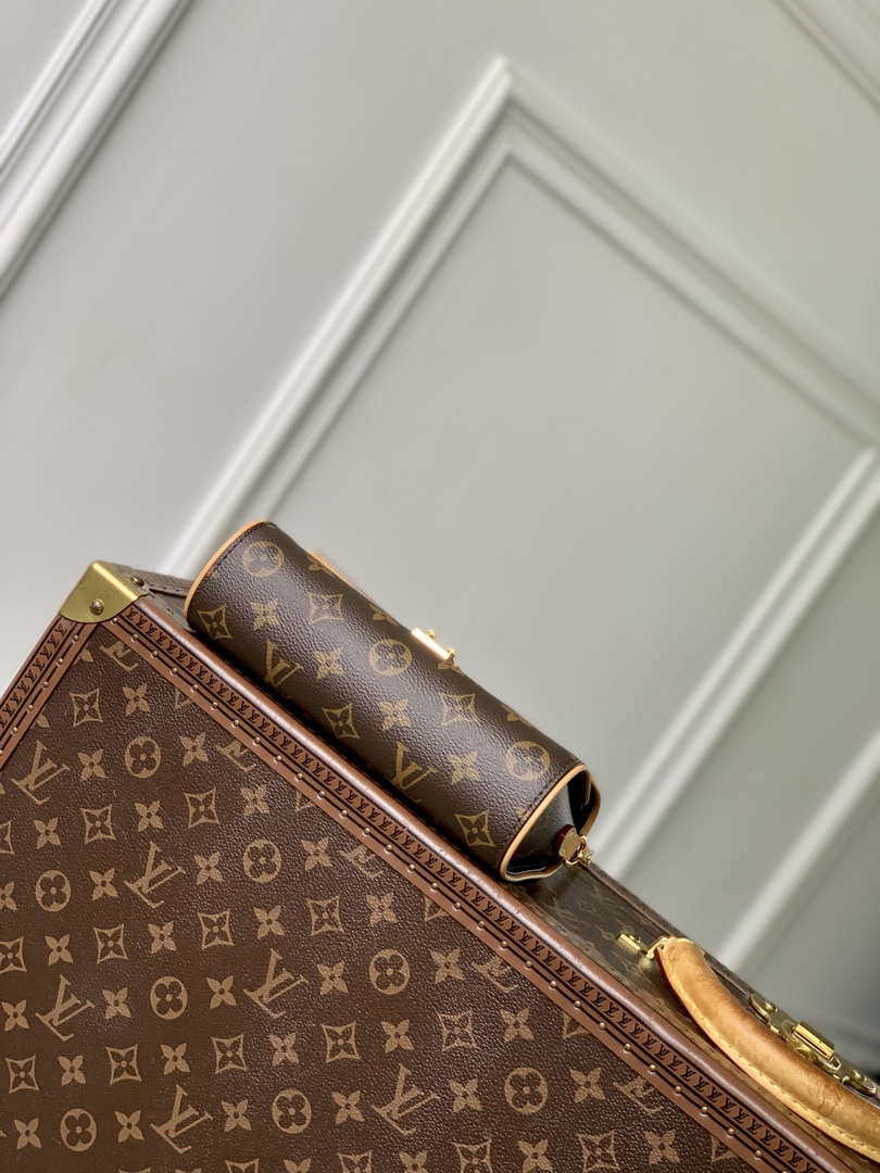 LV M13566 Louis Vuitton Pochette Camille Monogram Canvas
