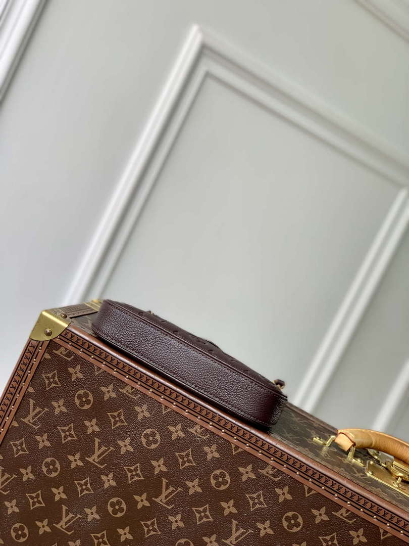 LV M13614 Louis Vuitton Easy Pouch Bag Chocolate Brown
