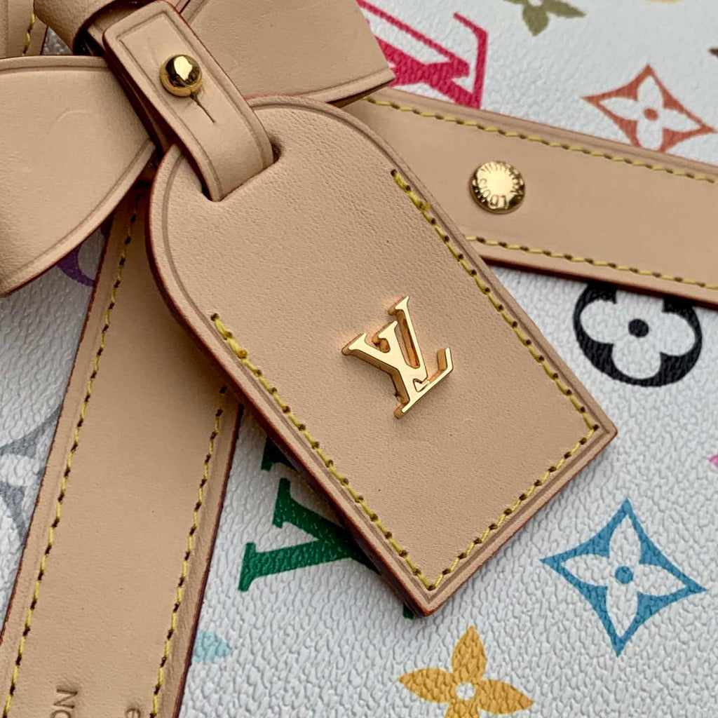 LV M13741 Louis Vuitton LV x TM  Dog Bag 40 Multicolored Monogram