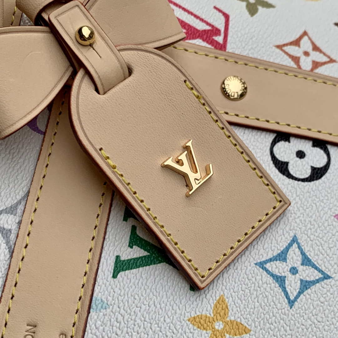 LV M13741 Louis Vuitton LV x TM  Dog Bag 40 Multicolored Monogram