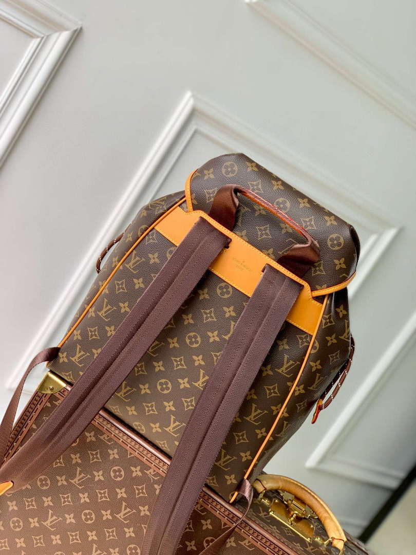 LV M14015 Louis Vuitton Montsouris Cargo Backpack Monogram - Default Title - View 3