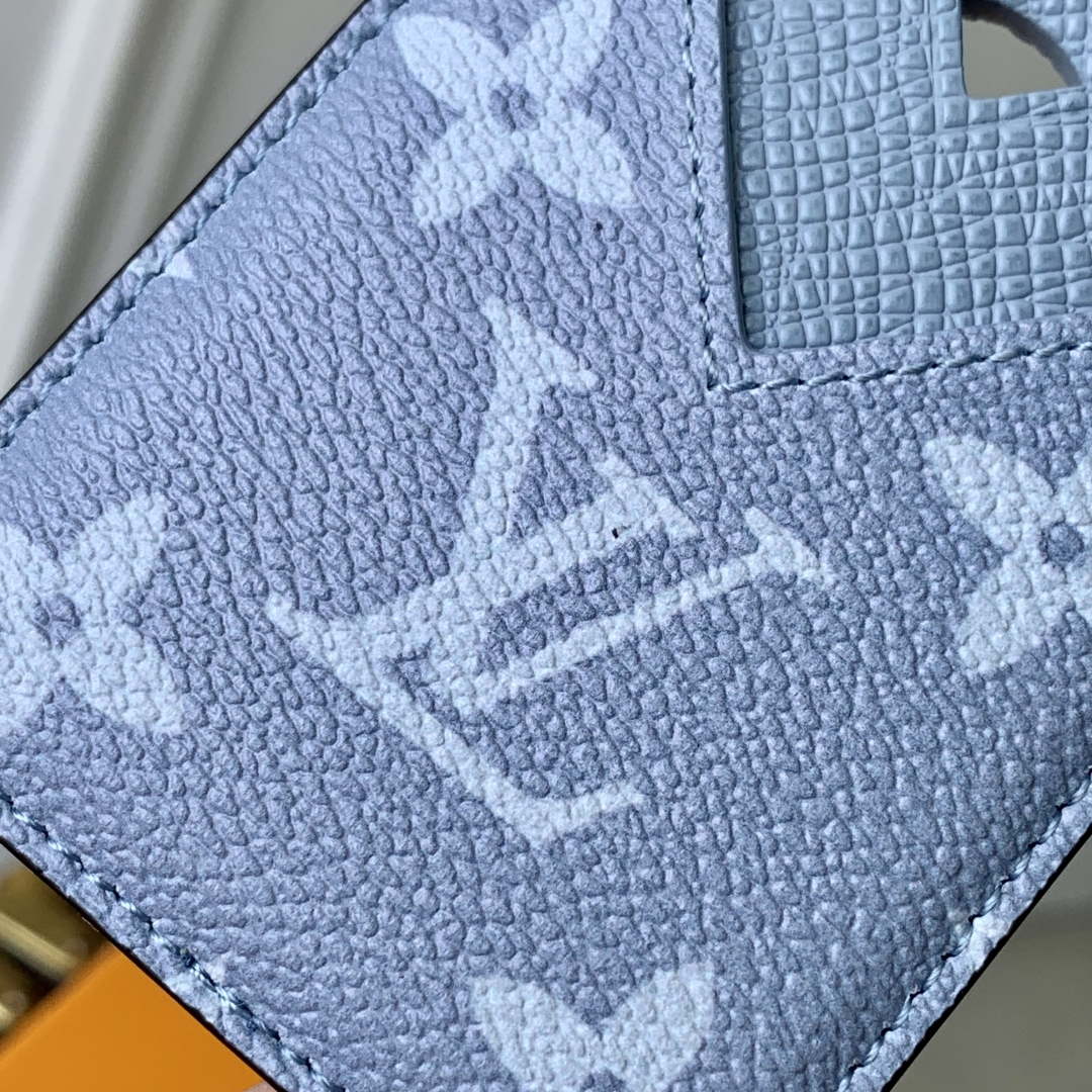 LV M14119 Louis Vuitton Porte-Cartes Magnet Sky Blue