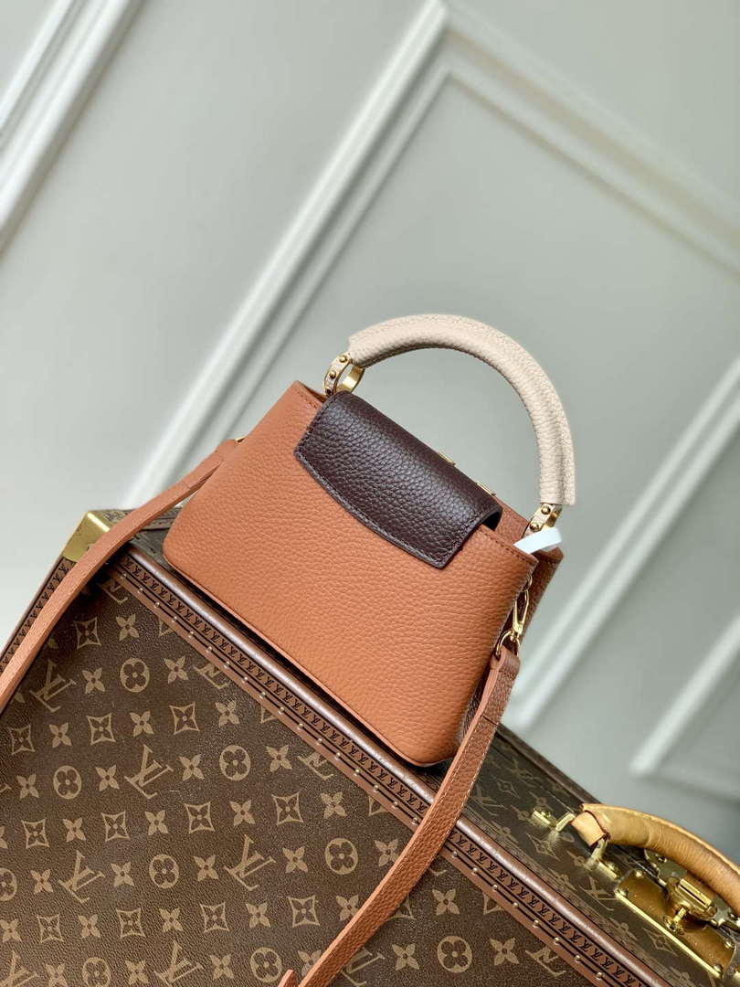 LV M14176 Louis Vuitton Capucines Mini Bag Taurillon leather Brown - Default Title - View 3
