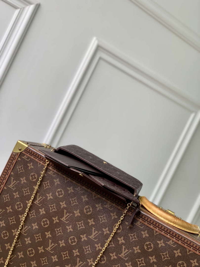 LV M14193 Louis Vuitton F¨¦licie Pochette Bag Chocolate Brown