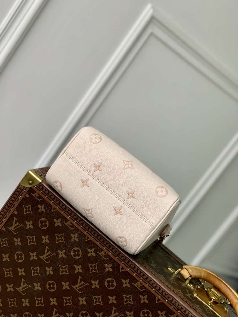 LV cLouis Vuitton Speedy Bandouliere 20 Bag Eden