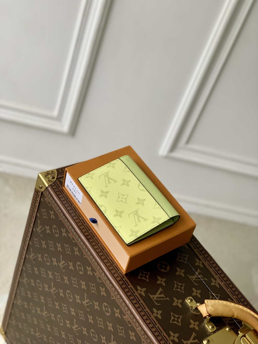 LV M14115 Louis Vuitton Passport Cover Taigarama Lemon Yellow - Default Title - View 3