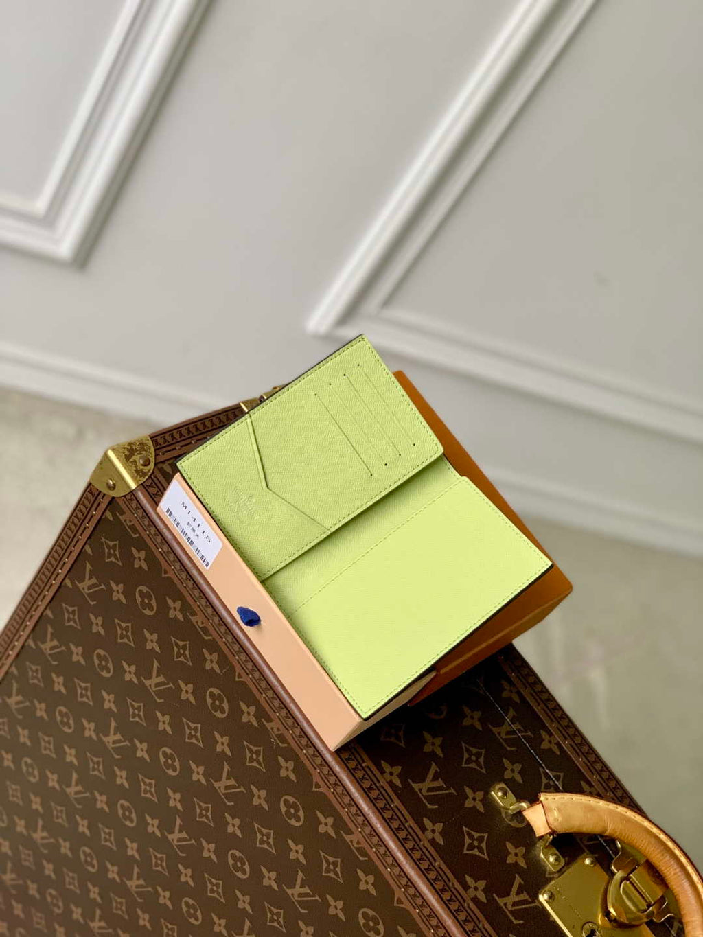 LV M14115 Louis Vuitton Passport Cover Taigarama Lemon Yellow
