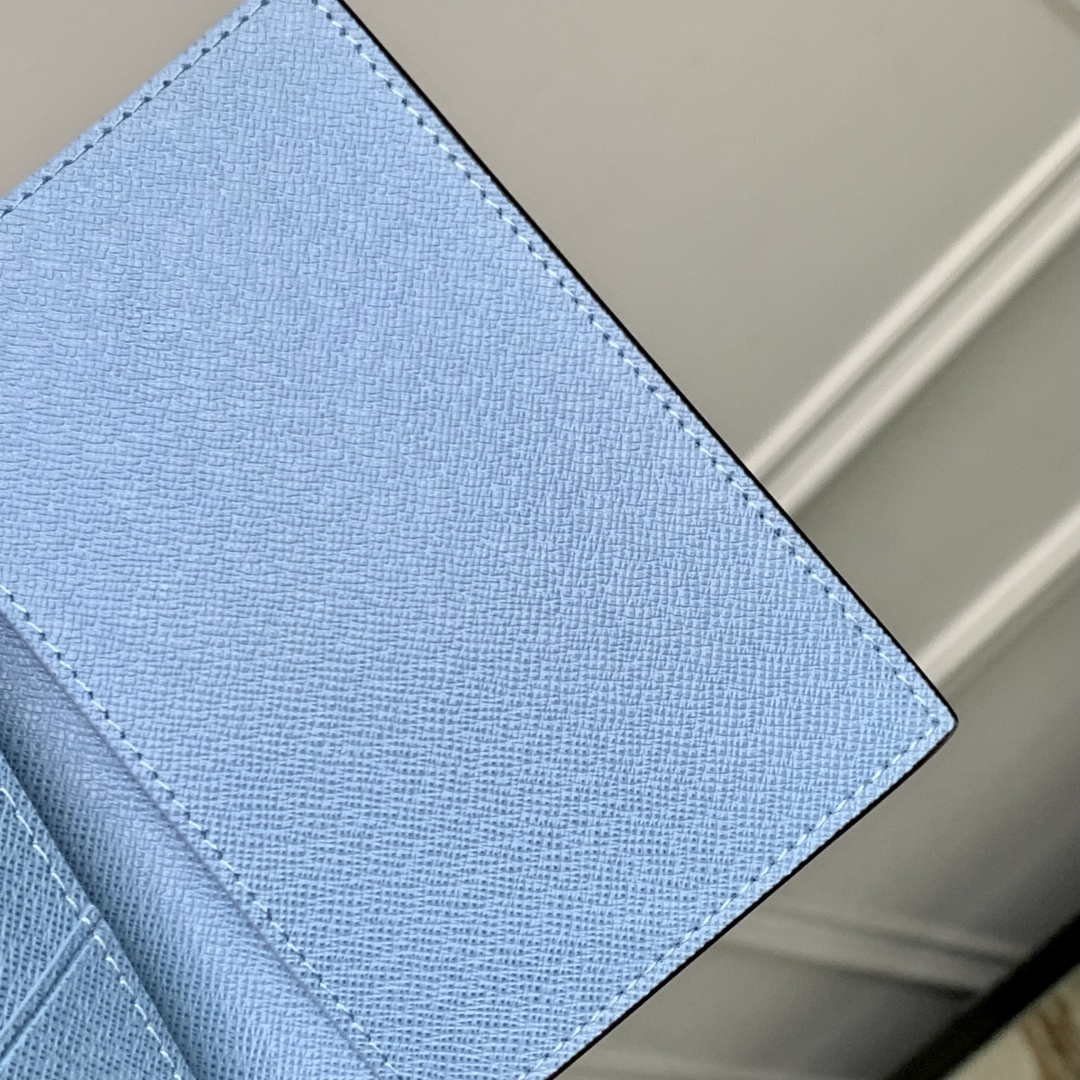 LV M14358 Louis Vuitton Passport Cover Taigarama Blue