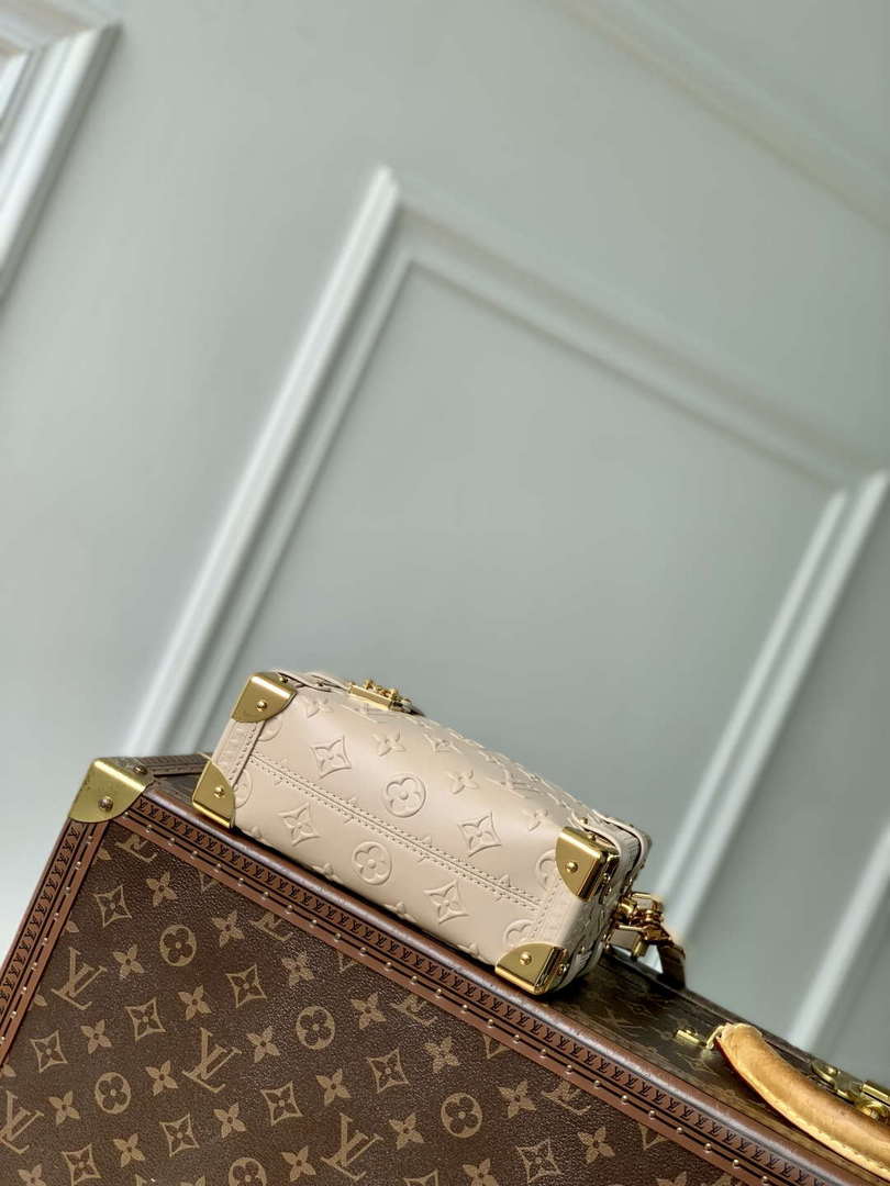 LV M14571 Louis Vuitton Side Trunk PM Bag Biscuit - Default Title - View 4