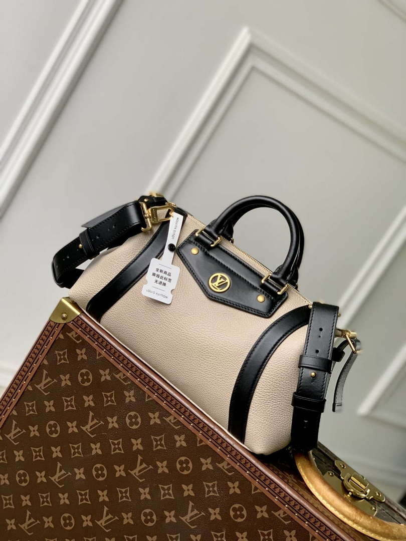 LV M14721 Louis Vuitton LV Biker PM Handbag Gray