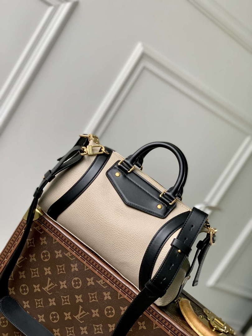 LV M14721 Louis Vuitton LV Biker PM Handbag Gray