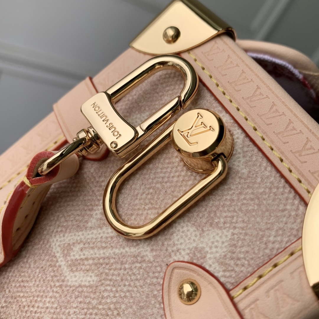 LV M15154 Louis Vuitton Side Trunk GM Bag Meowgram coated canvas