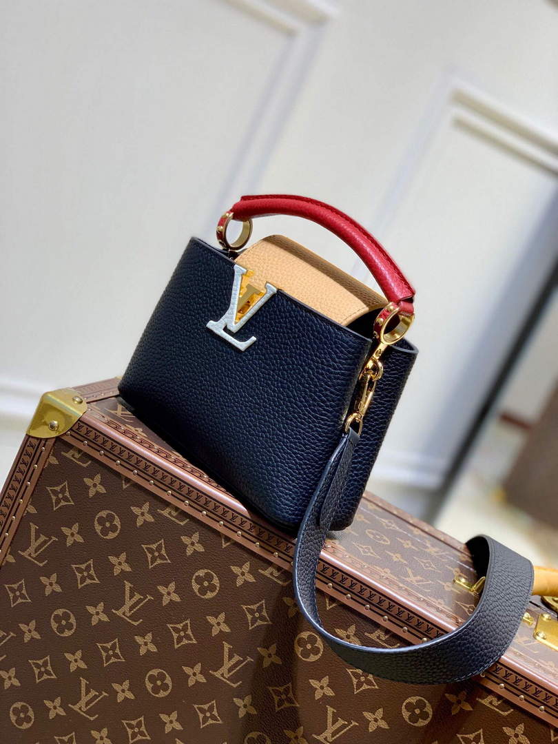 LV M20704 Louis Vuitton Capucines Mini Handbag Black - Default Title - View 3