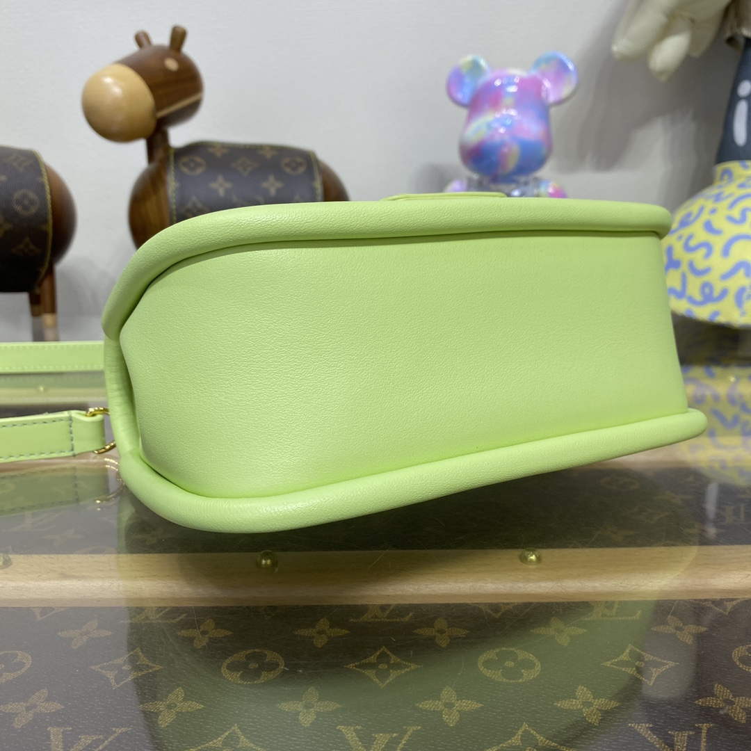 LV M22725 Louis Vuitton Hide and Seek Bag Vert Noto Green - Default Title - View 4