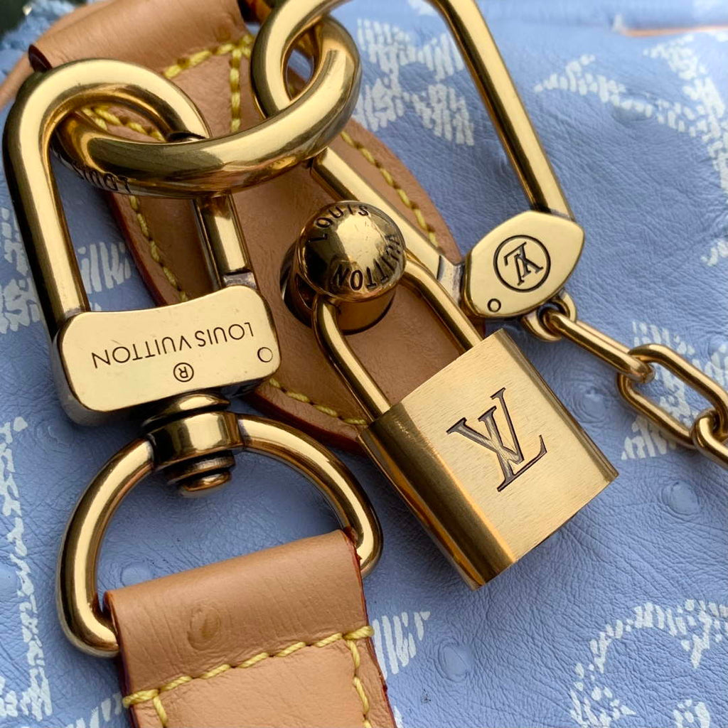 LV M24417 Louis Vuitton Speedy P9 Bandouliere 40 Bag Light blue Ostrich Pattern